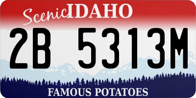 ID license plate 2B5313M