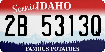 ID license plate 2B5313Q