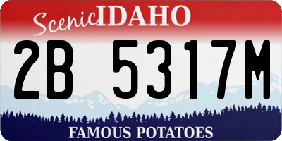 ID license plate 2B5317M