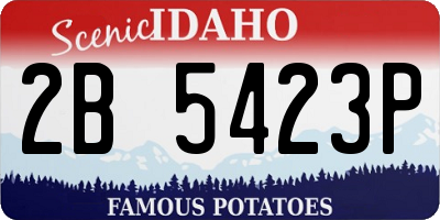 ID license plate 2B5423P