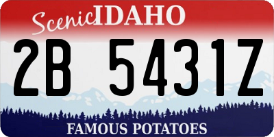 ID license plate 2B5431Z