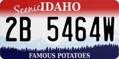 ID license plate 2B5464W