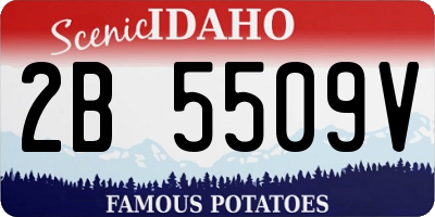 ID license plate 2B5509V