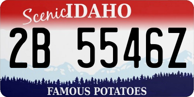 ID license plate 2B5546Z