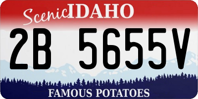 ID license plate 2B5655V