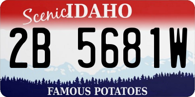 ID license plate 2B5681W