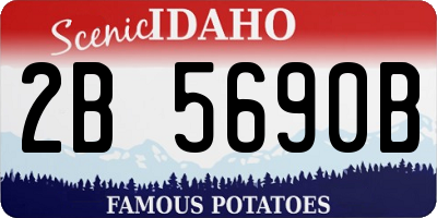ID license plate 2B5690B