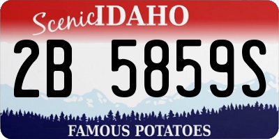 ID license plate 2B5859S