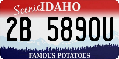 ID license plate 2B5890U