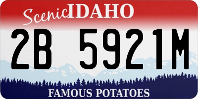 ID license plate 2B5921M
