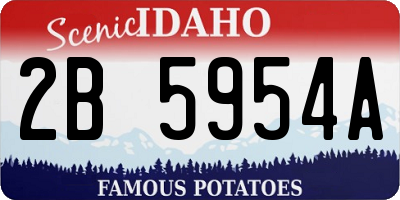 ID license plate 2B5954A