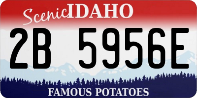 ID license plate 2B5956E
