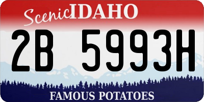 ID license plate 2B5993H