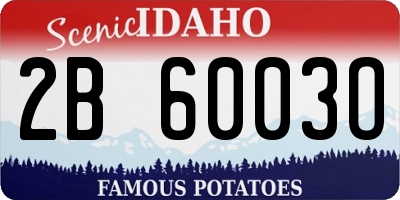 ID license plate 2B6003O