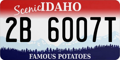 ID license plate 2B6007T