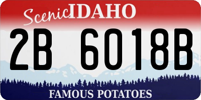 ID license plate 2B6018B