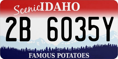 ID license plate 2B6035Y