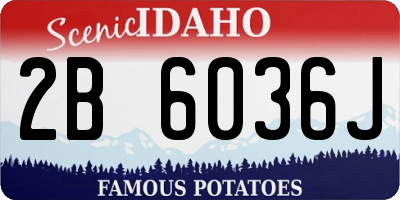 ID license plate 2B6036J