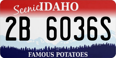 ID license plate 2B6036S