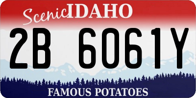ID license plate 2B6061Y