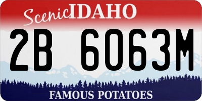 ID license plate 2B6063M