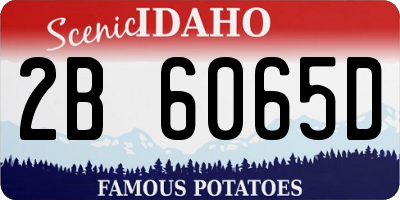ID license plate 2B6065D