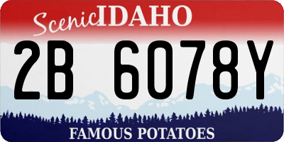 ID license plate 2B6078Y