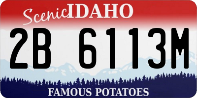 ID license plate 2B6113M