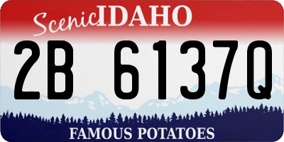 ID license plate 2B6137Q