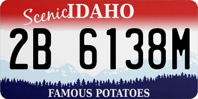 ID license plate 2B6138M