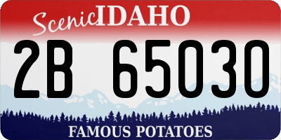 ID license plate 2B6503O