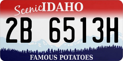 ID license plate 2B6513H