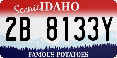 ID license plate 2B8133Y
