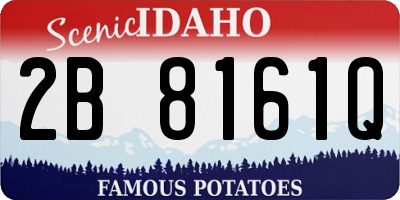 ID license plate 2B8161Q