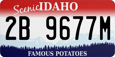 ID license plate 2B9677M