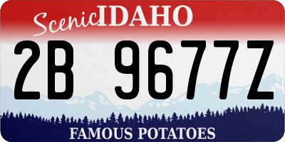 ID license plate 2B9677Z