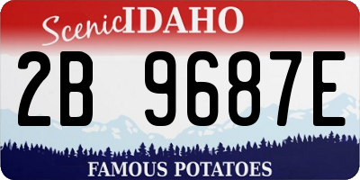 ID license plate 2B9687E