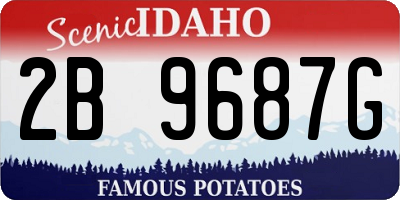 ID license plate 2B9687G