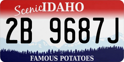 ID license plate 2B9687J