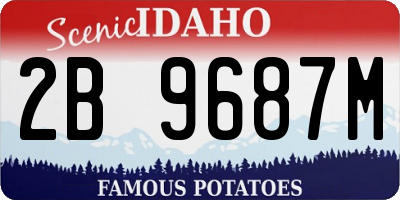 ID license plate 2B9687M