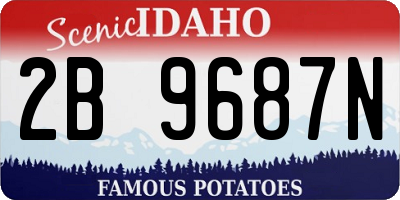 ID license plate 2B9687N
