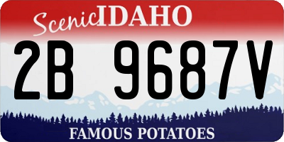 ID license plate 2B9687V