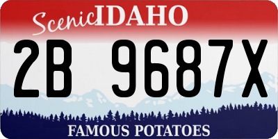 ID license plate 2B9687X