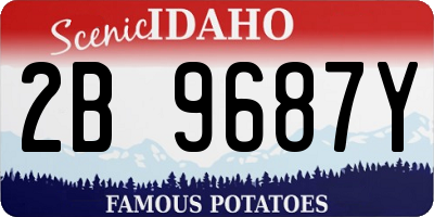 ID license plate 2B9687Y