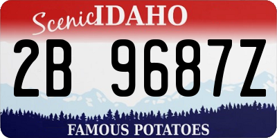 ID license plate 2B9687Z