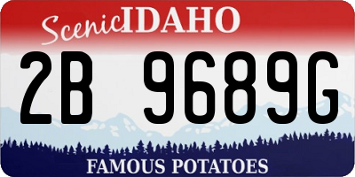 ID license plate 2B9689G