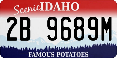 ID license plate 2B9689M