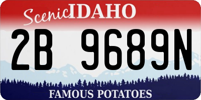 ID license plate 2B9689N