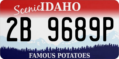 ID license plate 2B9689P