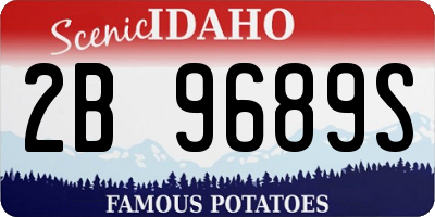 ID license plate 2B9689S